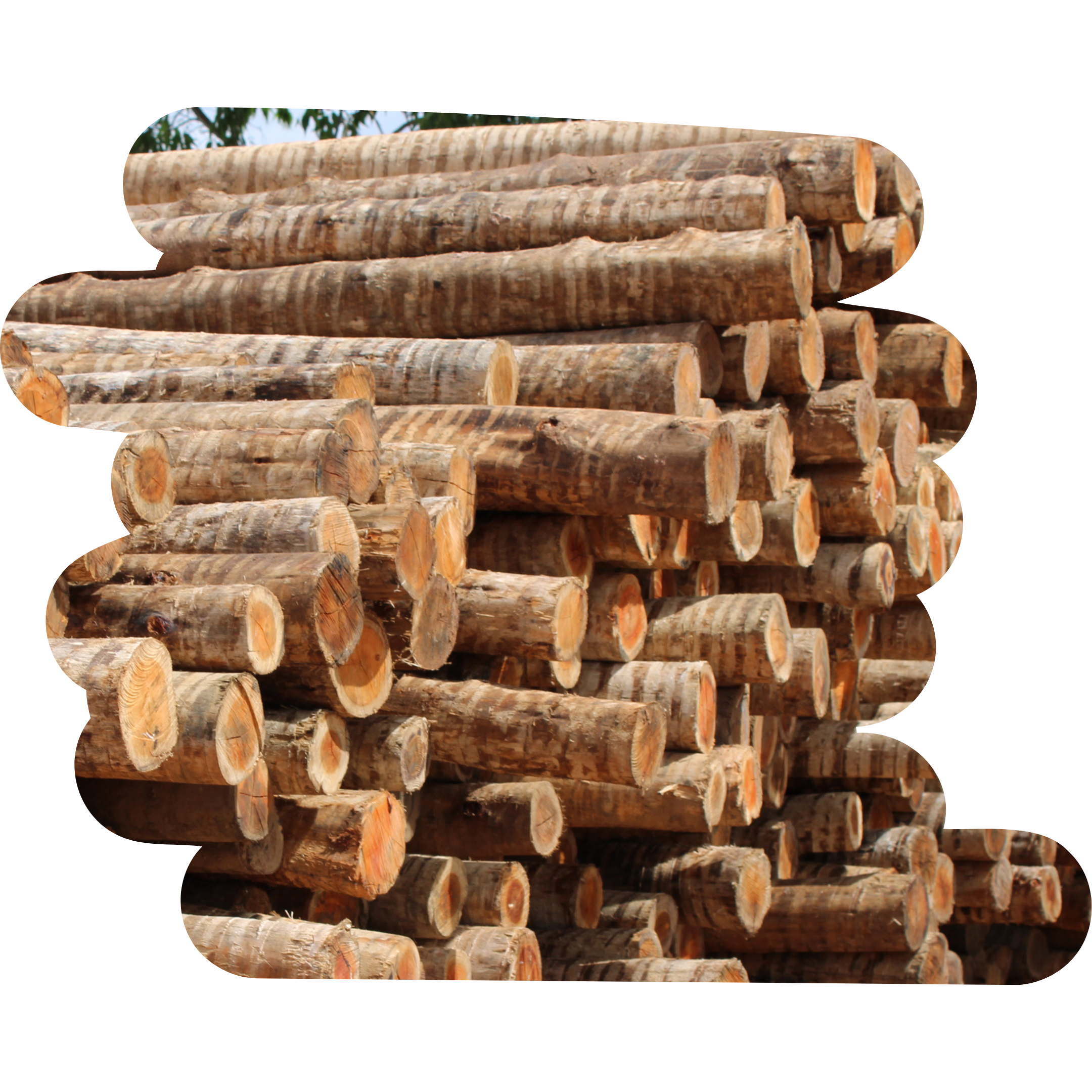 TITANO TE 08 A 10 X 2,20