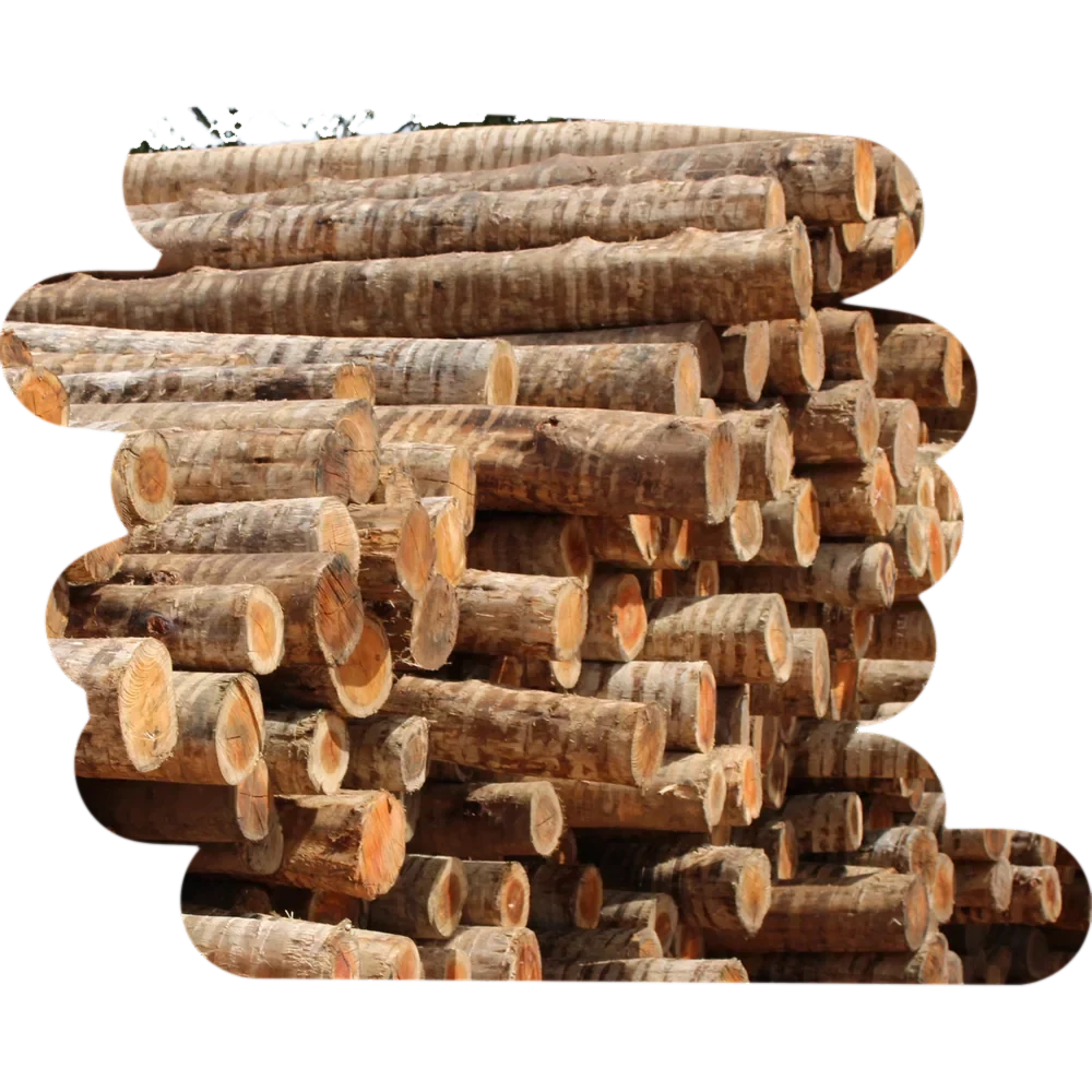 TITANO® TE 08 A 10 X 2,20